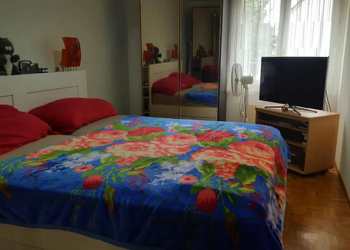 A Partager Avec Couchage Sur Un Grand Matelas Au Sol イヴェルドン・レ・バン